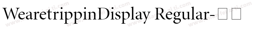 WearetrippinDisplay Regular字体转换